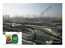 保护生活环境就选鲁蒙LM防腐防水涂料