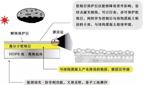杜高牌聚乙烯丙纶复合（SBC）防水卷材